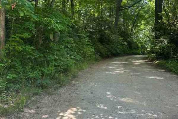 Walking Stick Road 