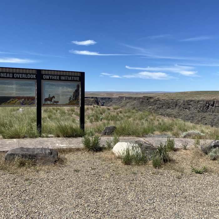 Near Bruneau Canyon Overlook