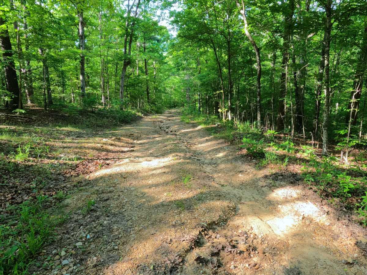 Sheehy Road - FS 3741 photo 5