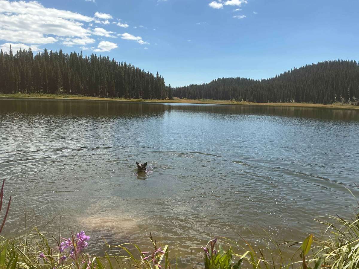 Hunter Reservoir Trail photo 4