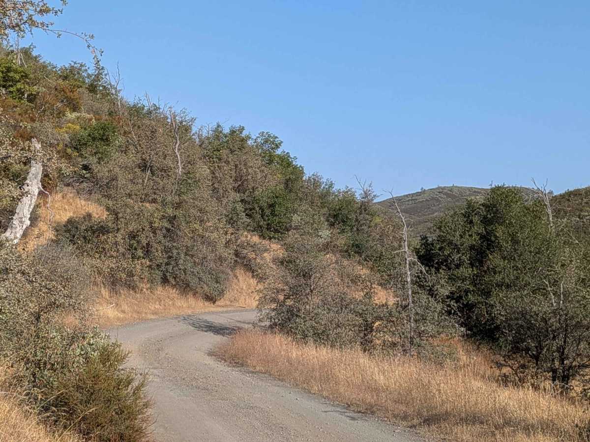 Bull Creek Road South photo 5