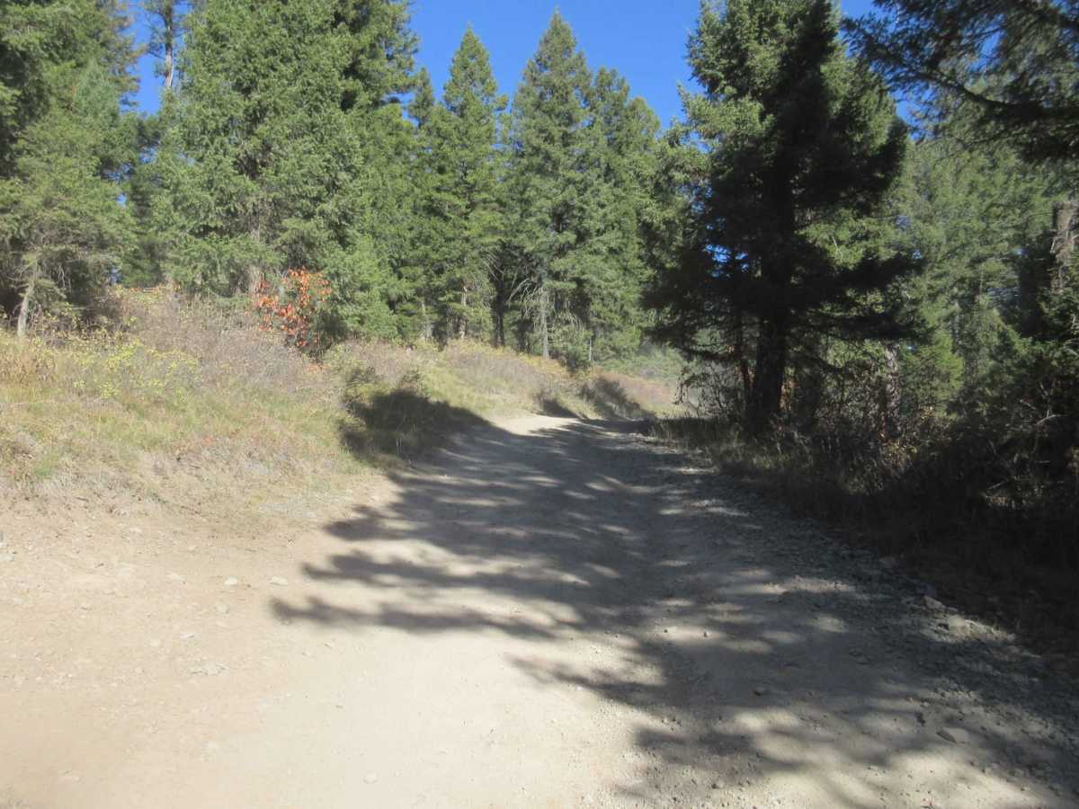 Keg Springs (Forest Service 046) photo 5