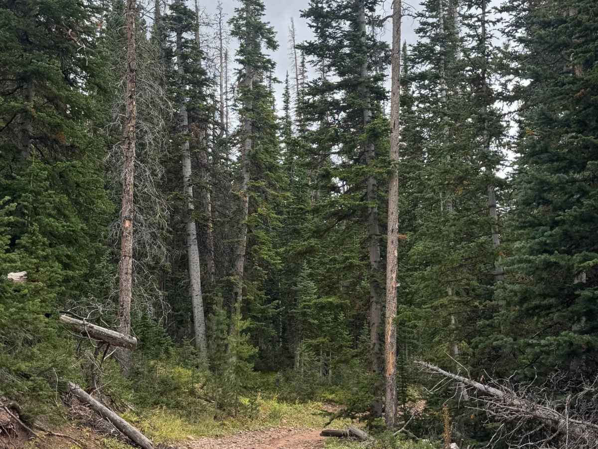 Deadman Mountain photo 3