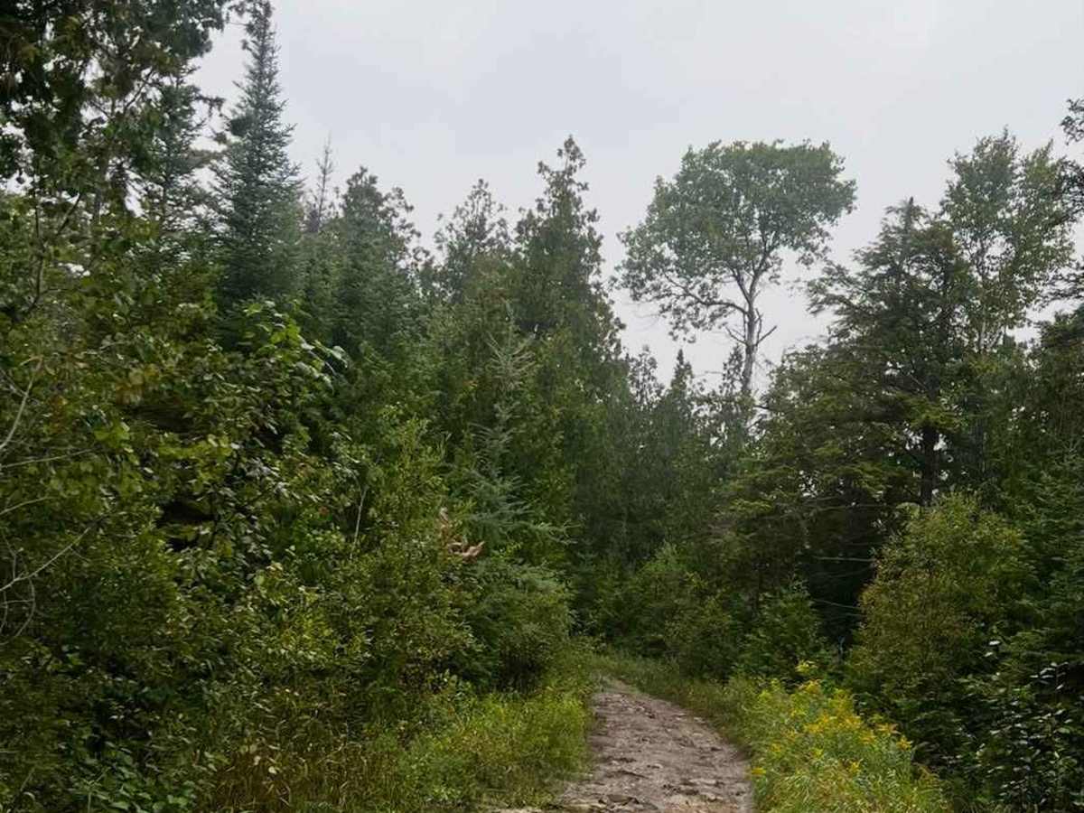 Dave Lauer Memorial Trail photo 5