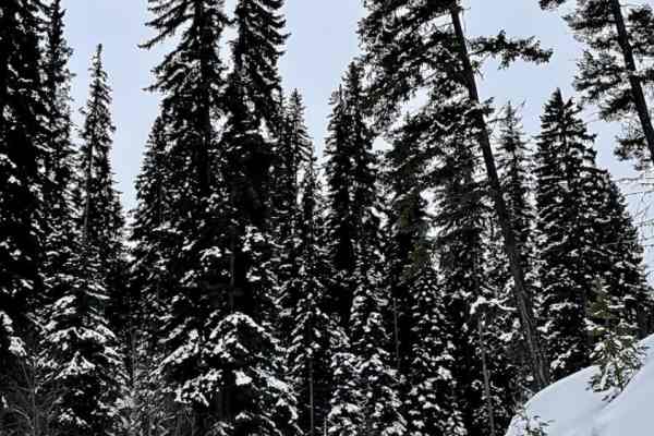 Oyma Lake Road