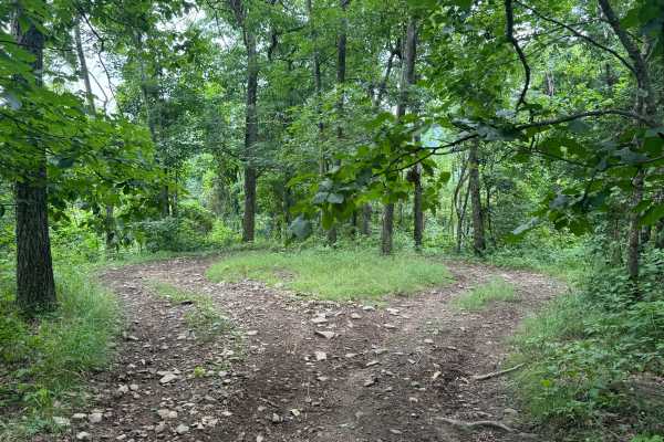 Trail 77