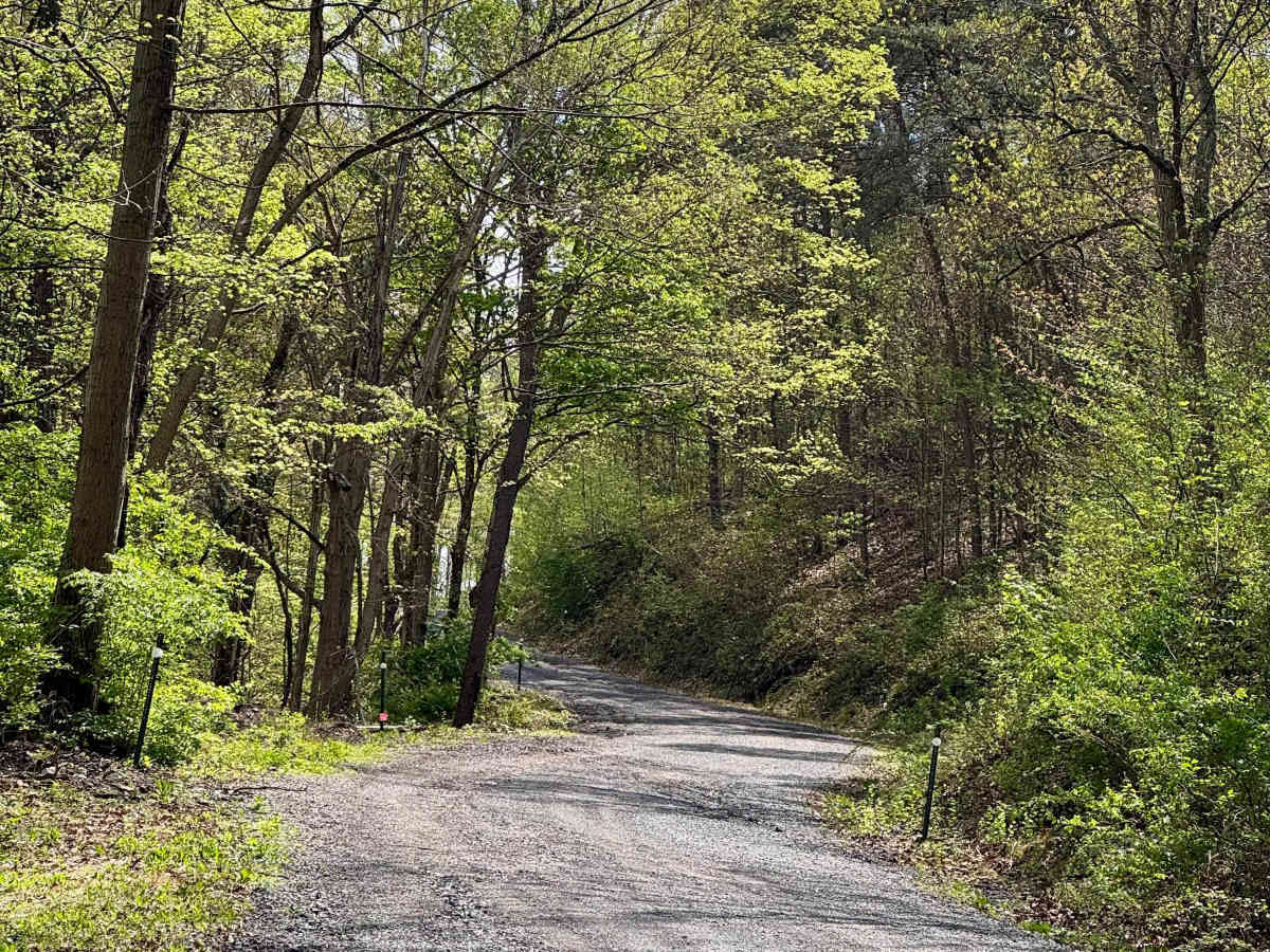 Corbin Road photo 3