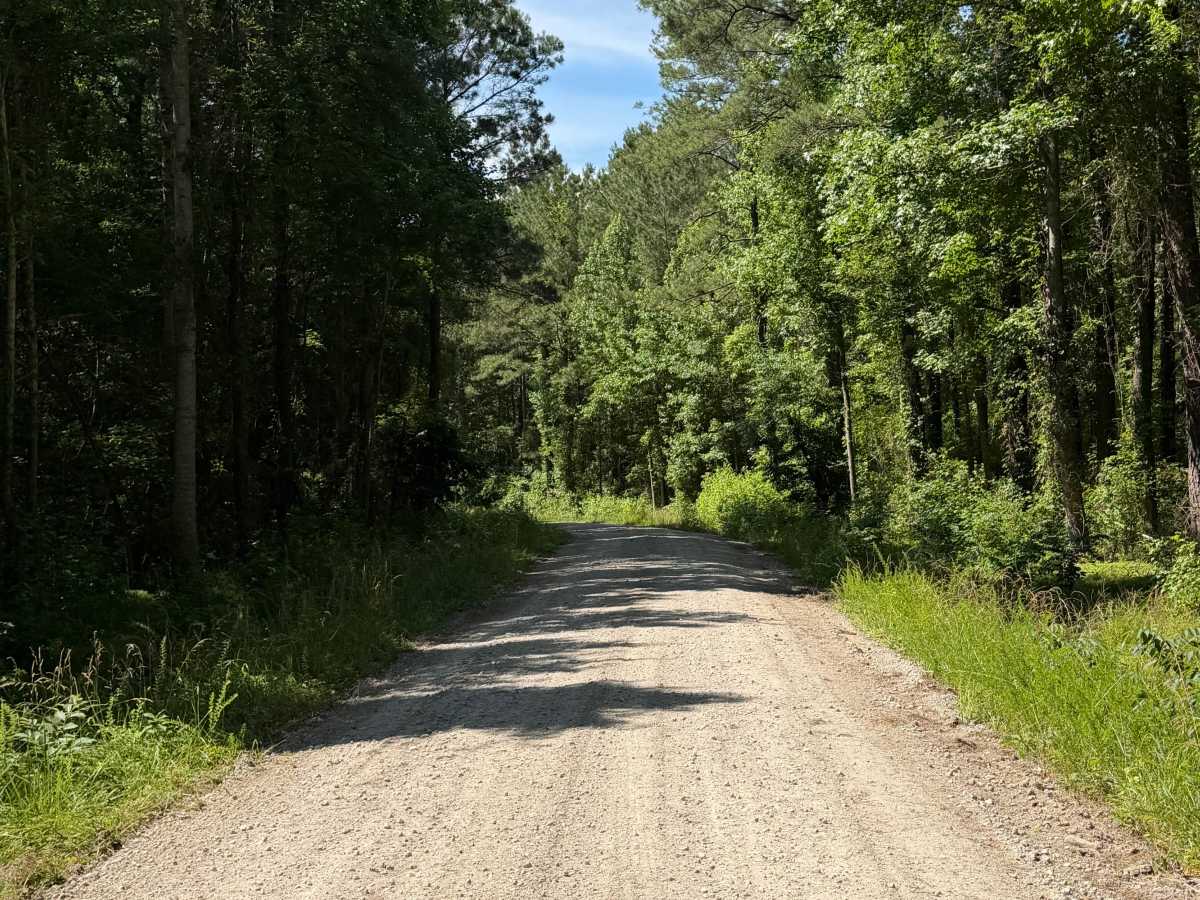 Pine Grove - FS 156 photo 4