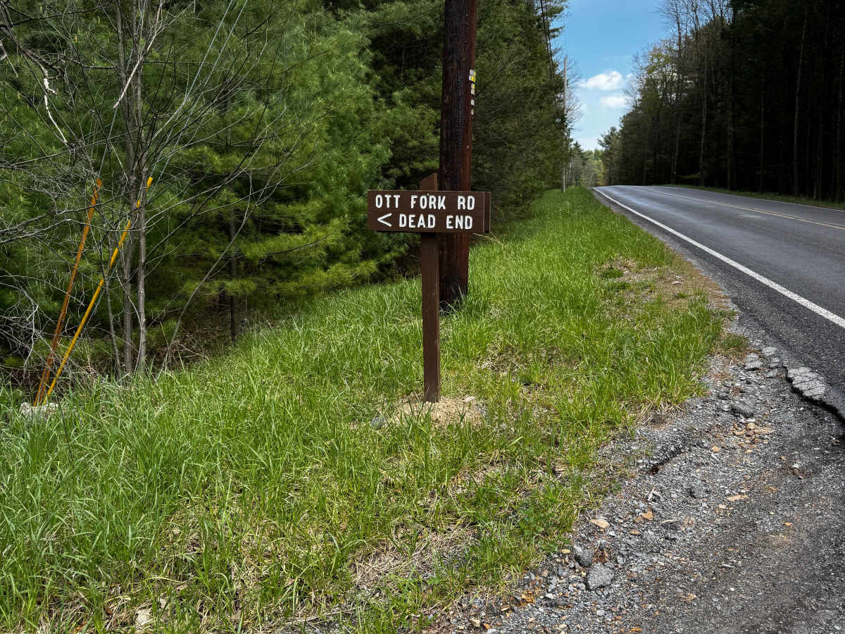 Ott Fork Road trail photo