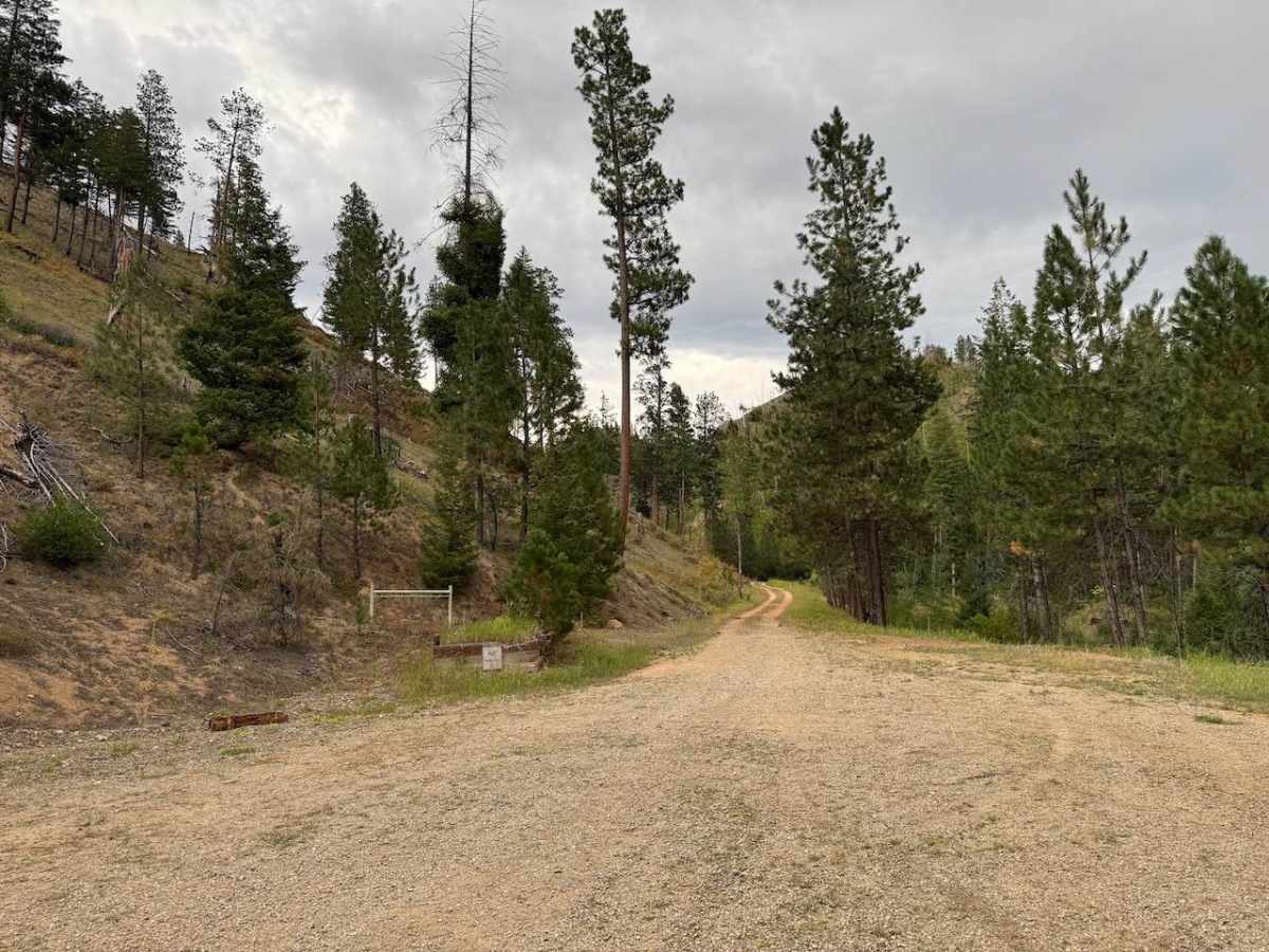 Piquett Creek Part 1 photo 5