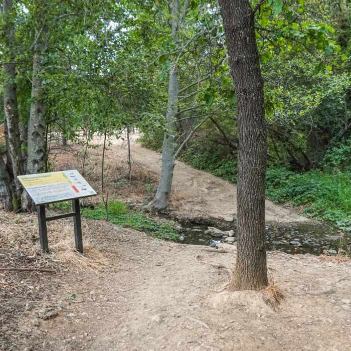 Near New York Creek Nature Trail