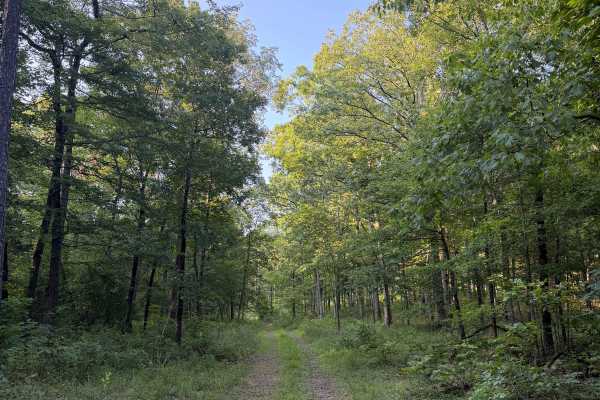Stevens Steep
