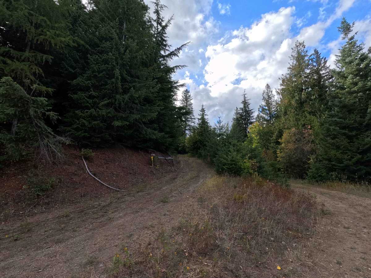 Ole Creek P - FS 1092P trail photo