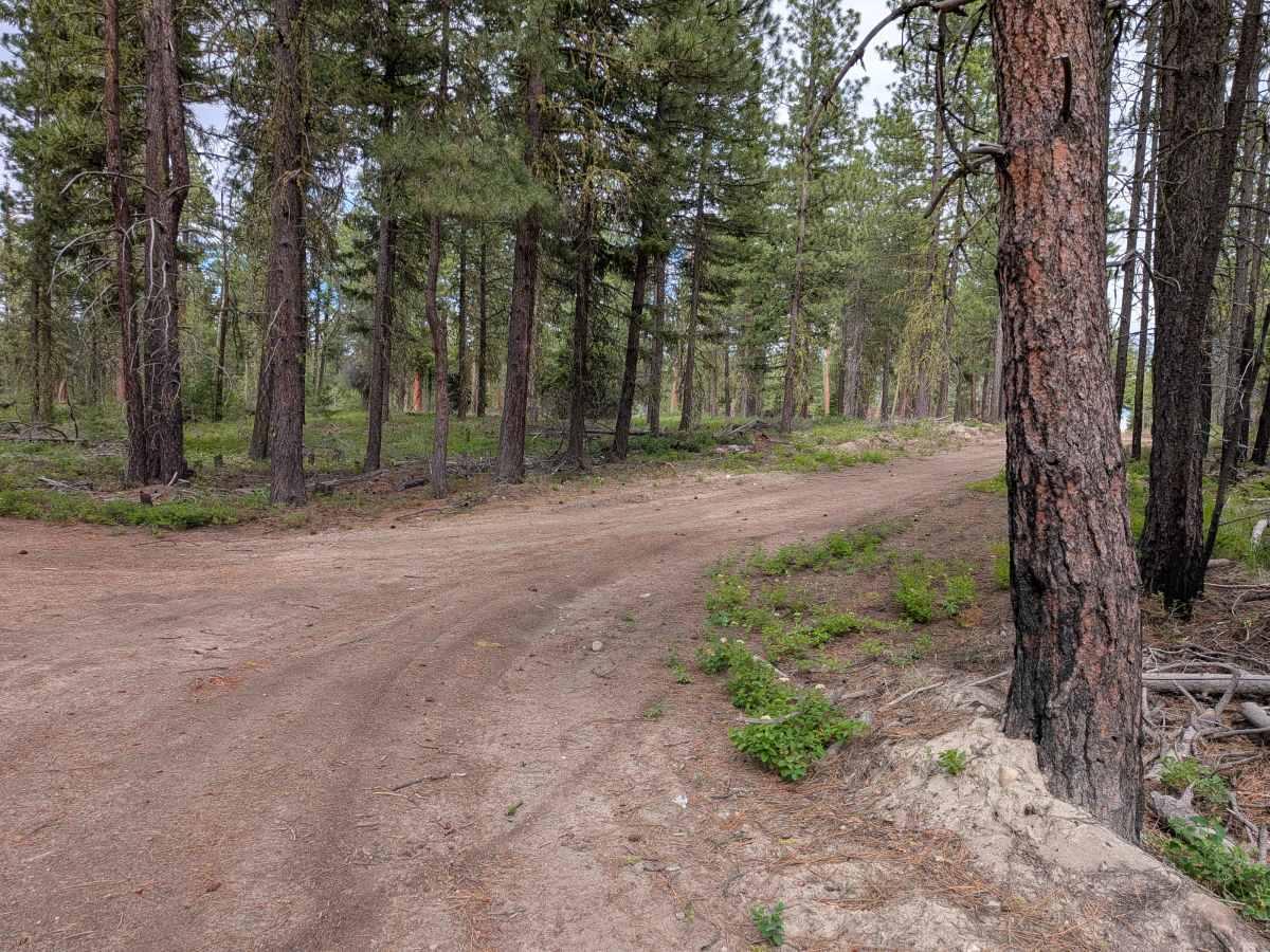 Lower Thrapp Mountain - E332419e photo 2