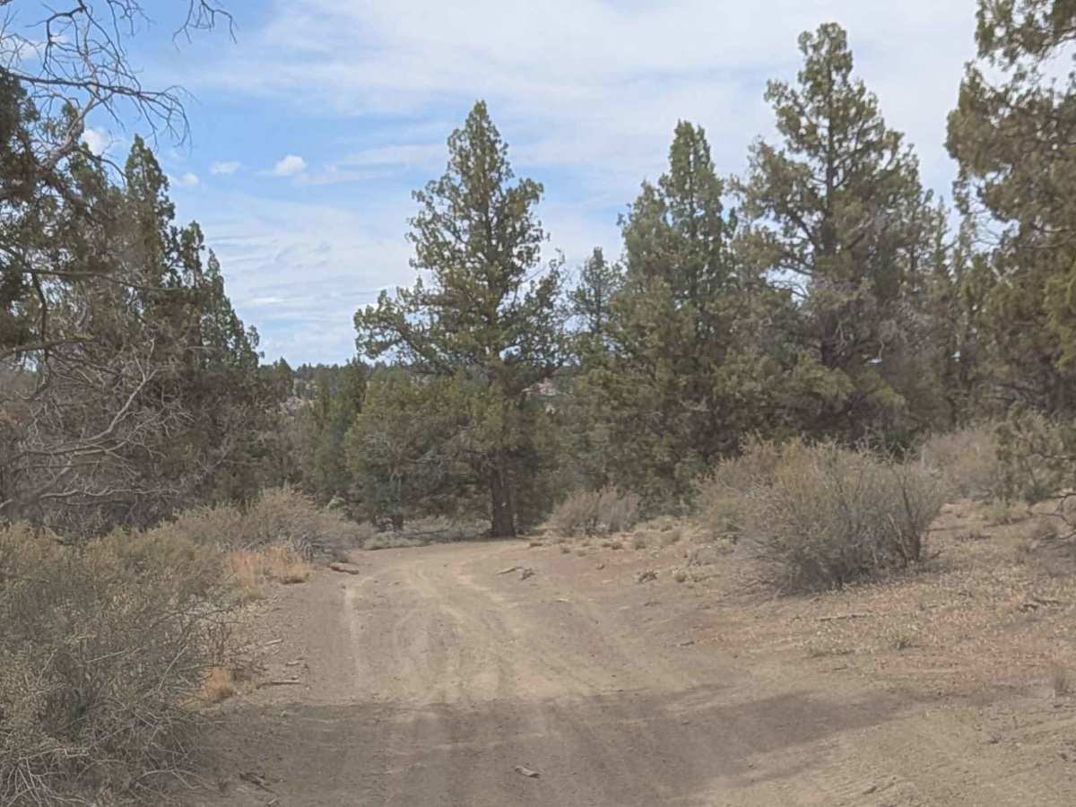 Cline Buttes OHV Trail 21 photo 4
