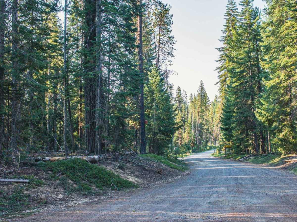 Lost Creek Loop trail photo