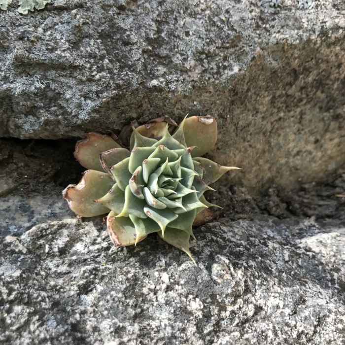 Near Kent Spring Trail #157