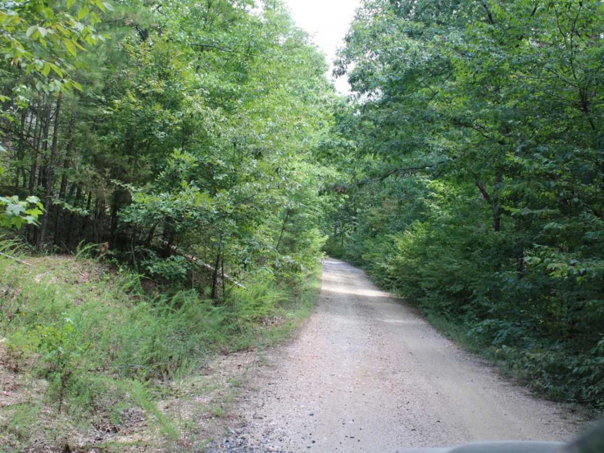 Two Mile Road photo 3