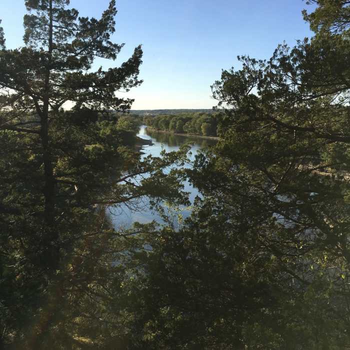 Near Connecting Trail - Starved Rock