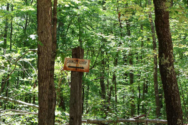Shingle Loop