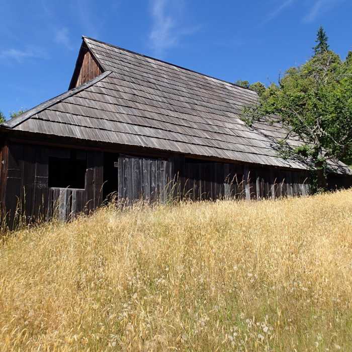 Near Lyons Ranch Trail