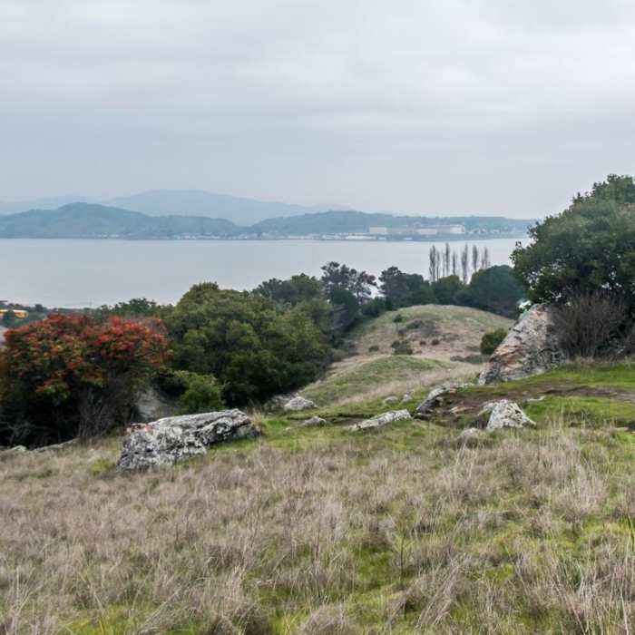 Near Ring Mountain Loop