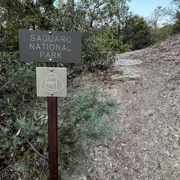 Near Mica Mountain via Italian Spring