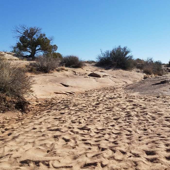 Near Houdini Trail