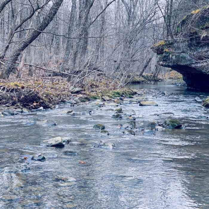 Near Indian Kitchen Loop Near Indian Kitchen Loop