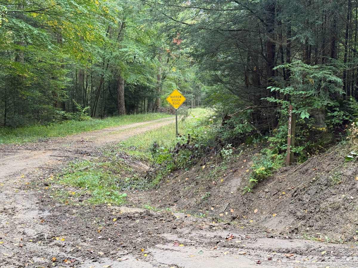North Branch - FS 293 trail photo