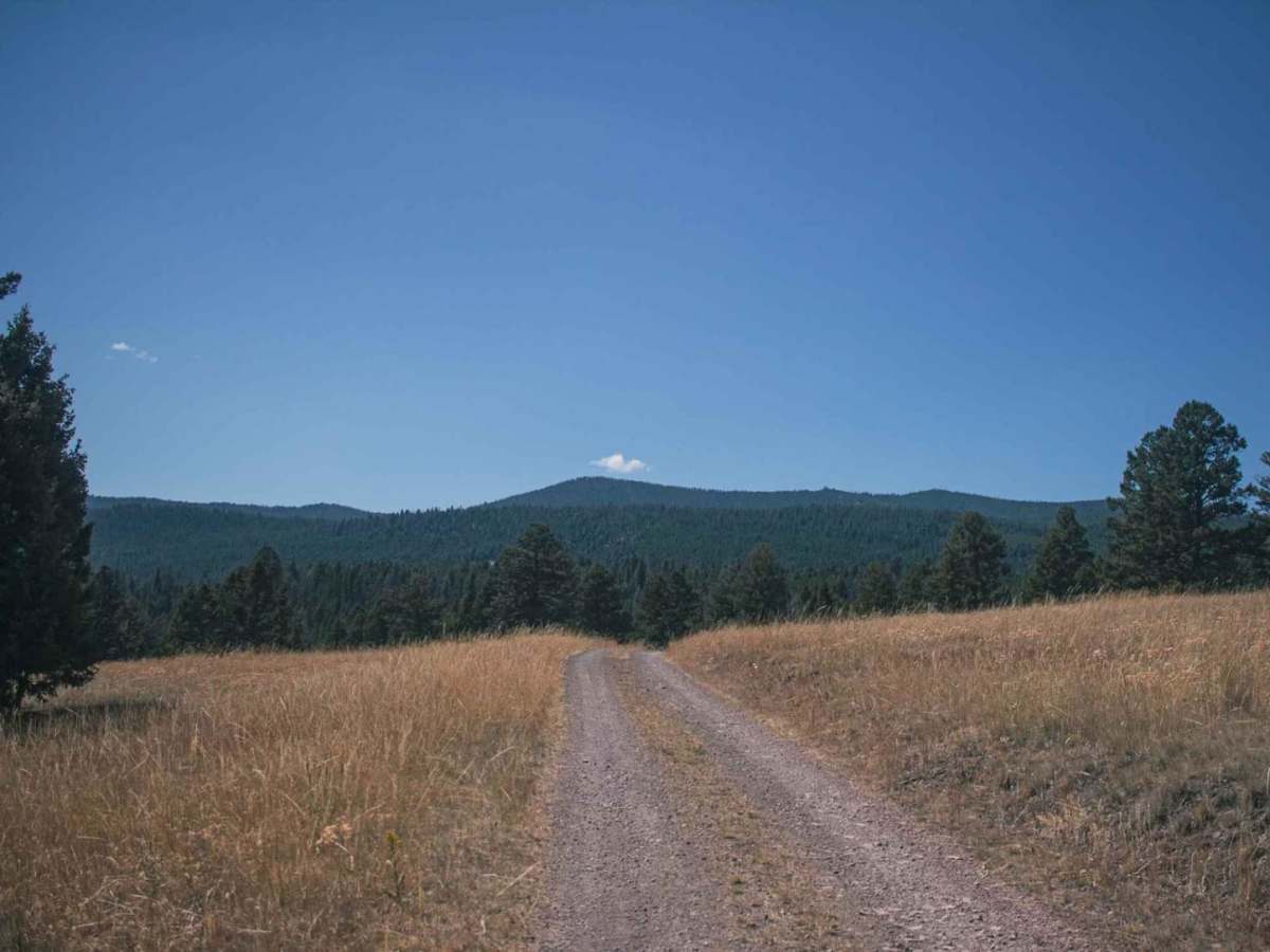 Marshall Creek photo 3