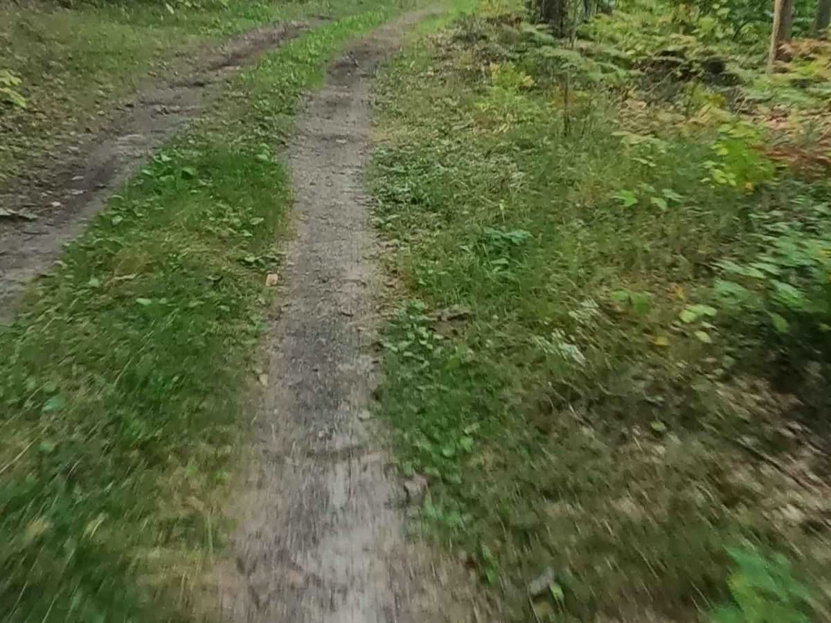 Old Stage Truck Road photo 4