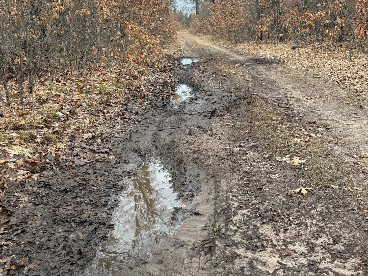 FS 8535 trail photo