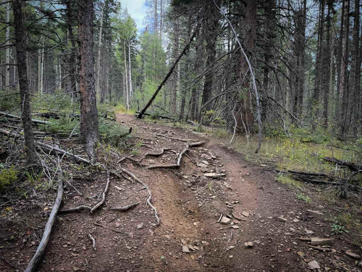 La Cueva Trail - FS 8  photo 6