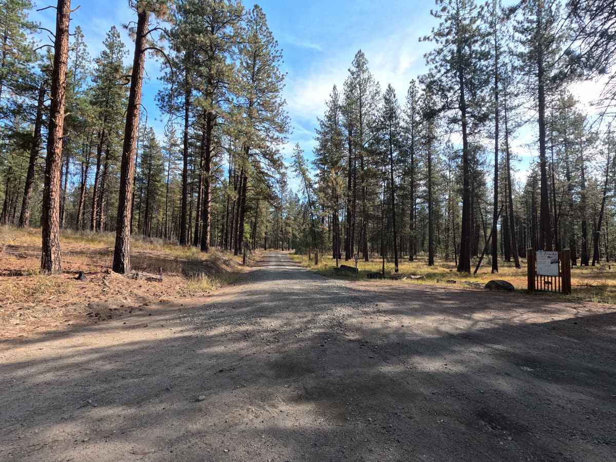 Blacktail Mountain Road trail photo