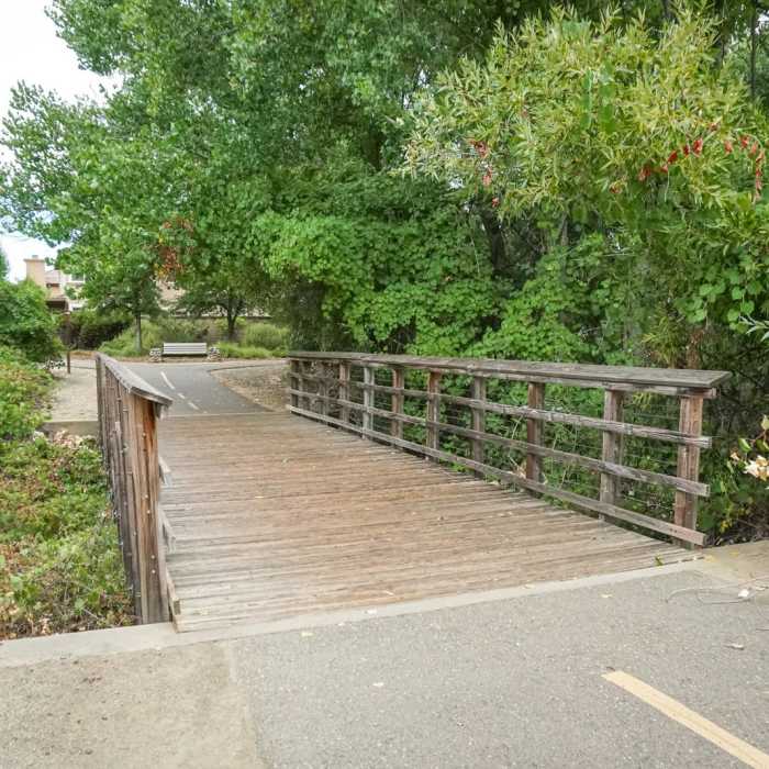 Near Humbug Creek Trail