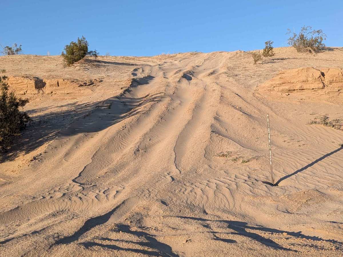 BLM 195 trail photo