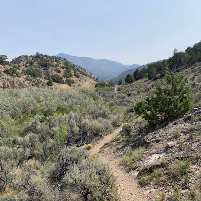 Near Steptoe Creek Trail
