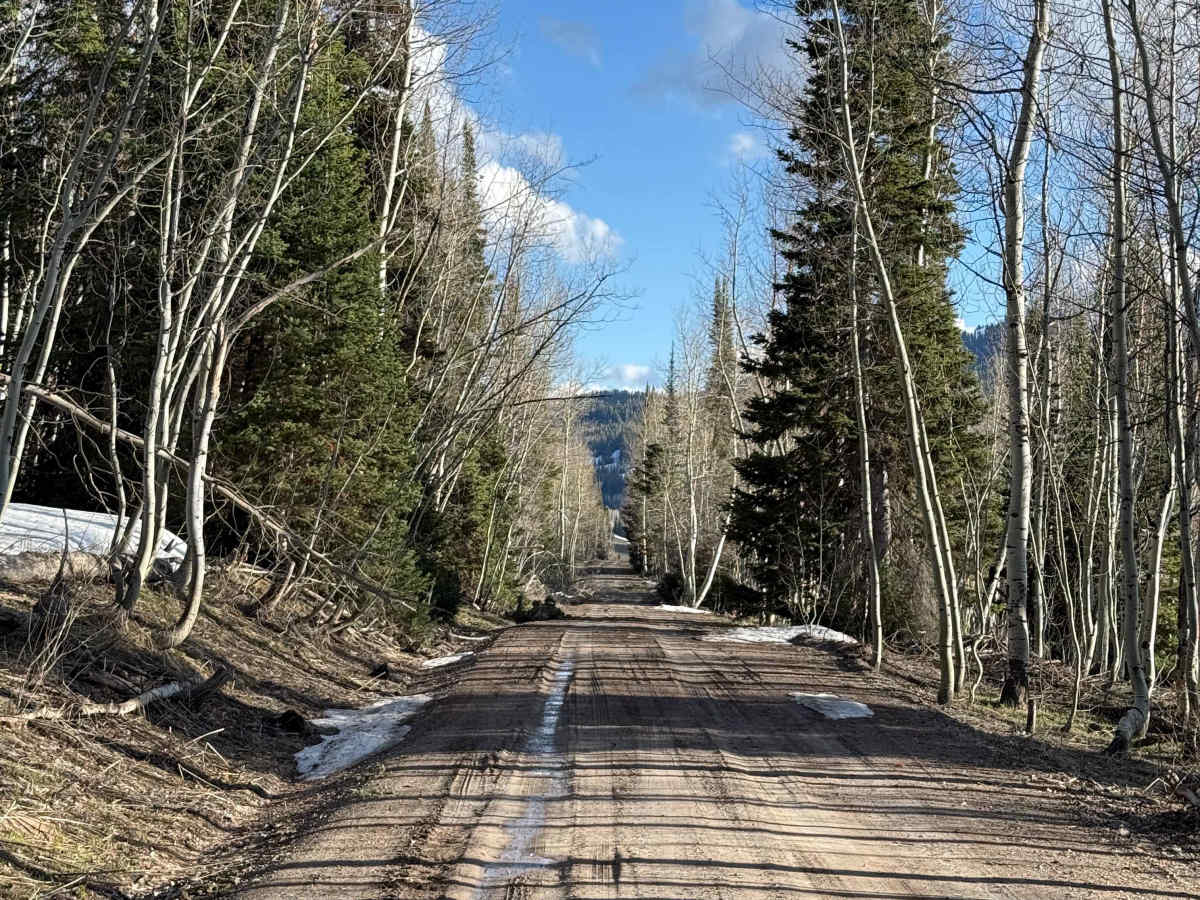 Franklin Basin Utah Section photo 3