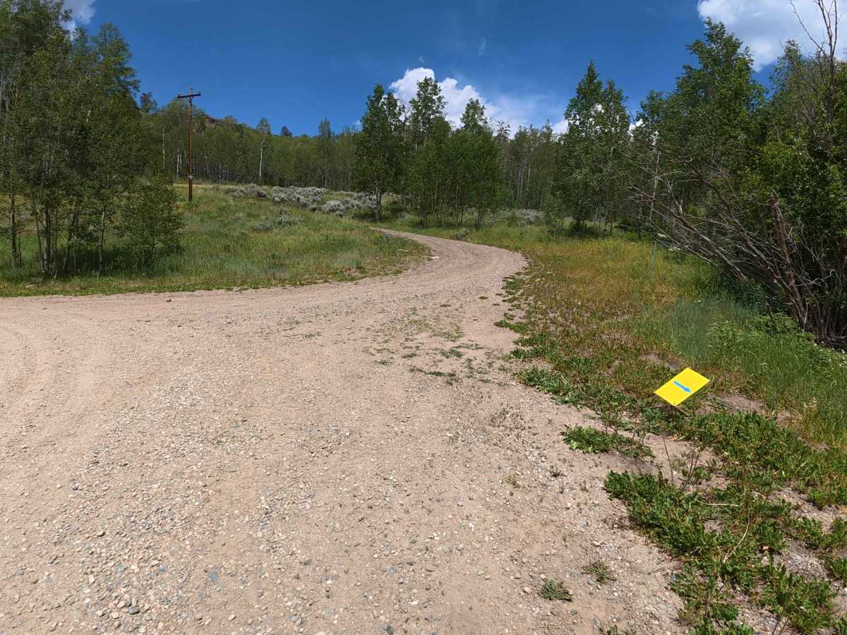 County Road 216 photo 3