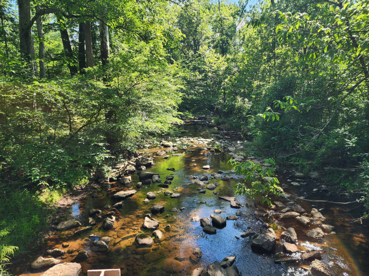 Whites Ferry photo 5