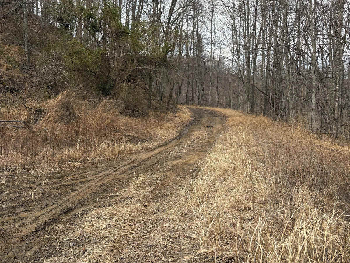 Trail 4 photo 5