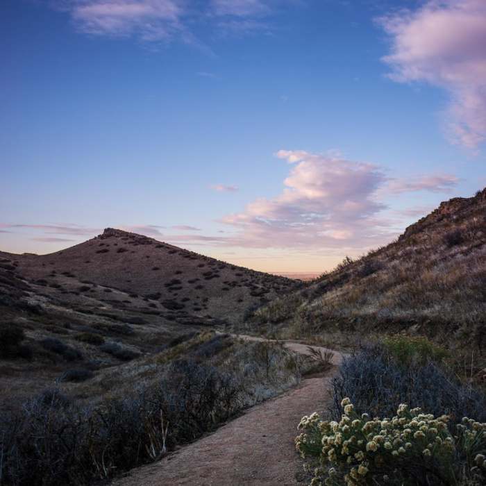 Near Coyote Ridge Natural Area