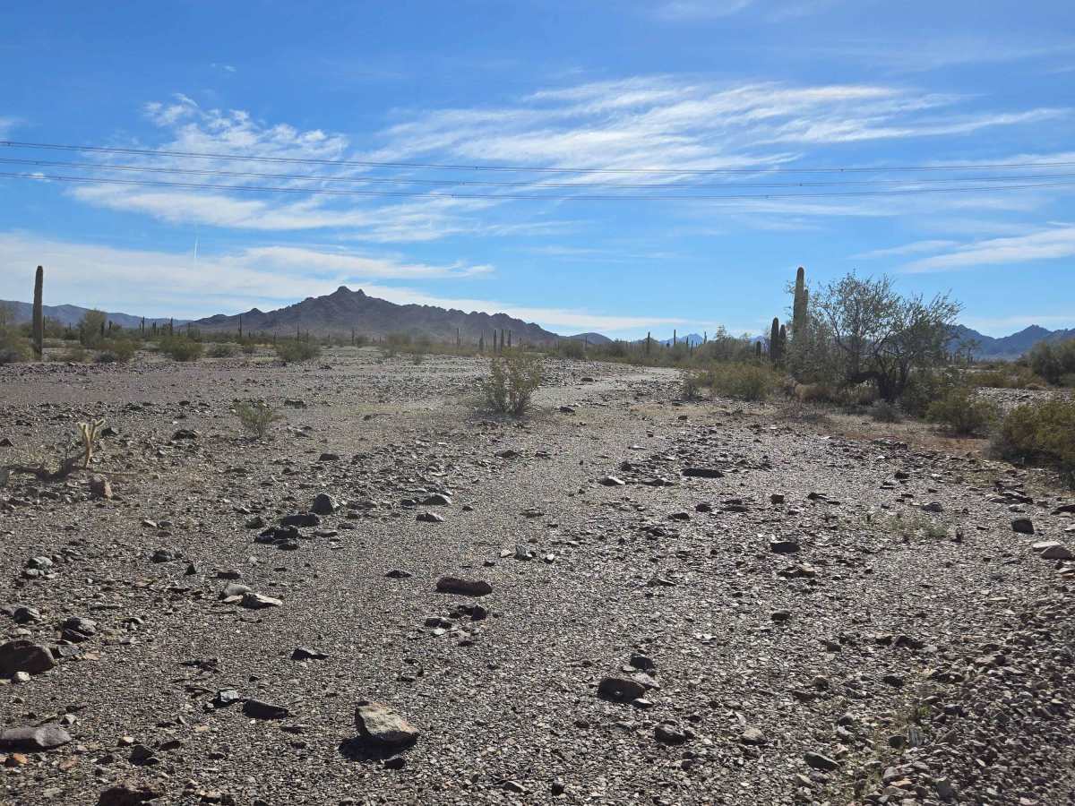 Wild Trail photo 3