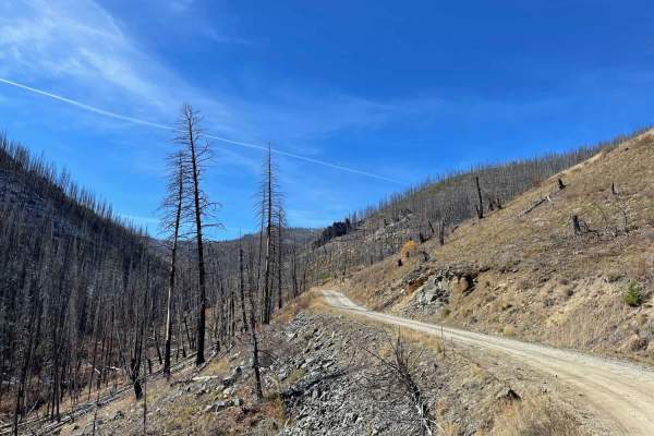 Wood Creek