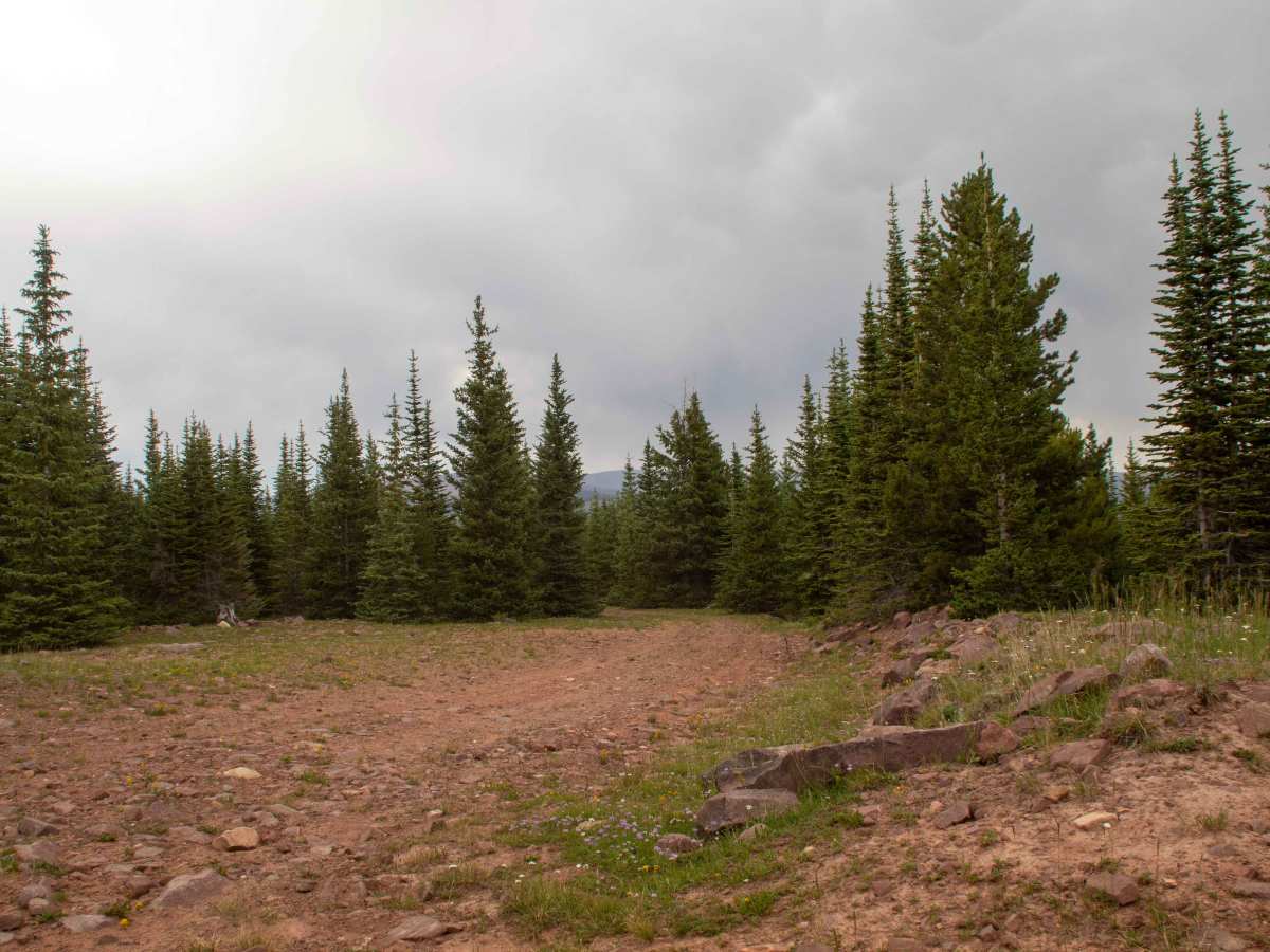 Johnson Bench - FS 10754 trail photo