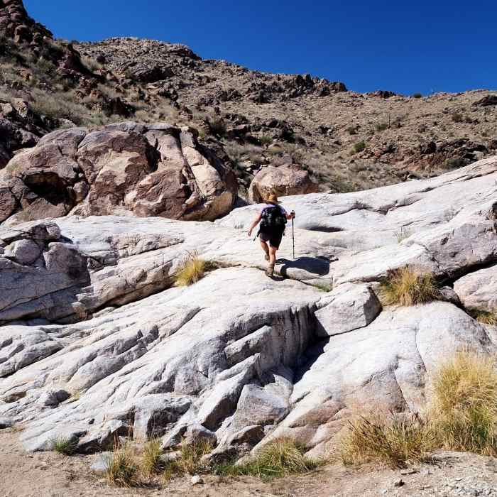 Climbing one of the granite ledges in Ford Canyon Near Ford Canyon Trail