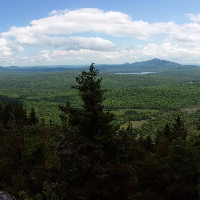 Near Sugarloaf Mountain Trail