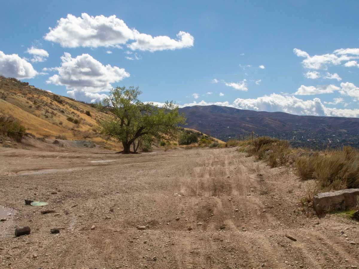 Centerville Offroad Bowl Upper Trail trail photo