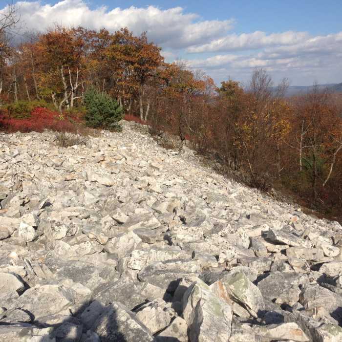 Near Bear Meadows/Mid State Trail Loop